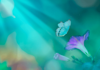 massage holistique de printemps, Alchimie des 4 saisons®