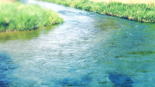 formation facialiste holistique ecole massage holistique facialiste holistique soin énergétique Montpellier Avignon