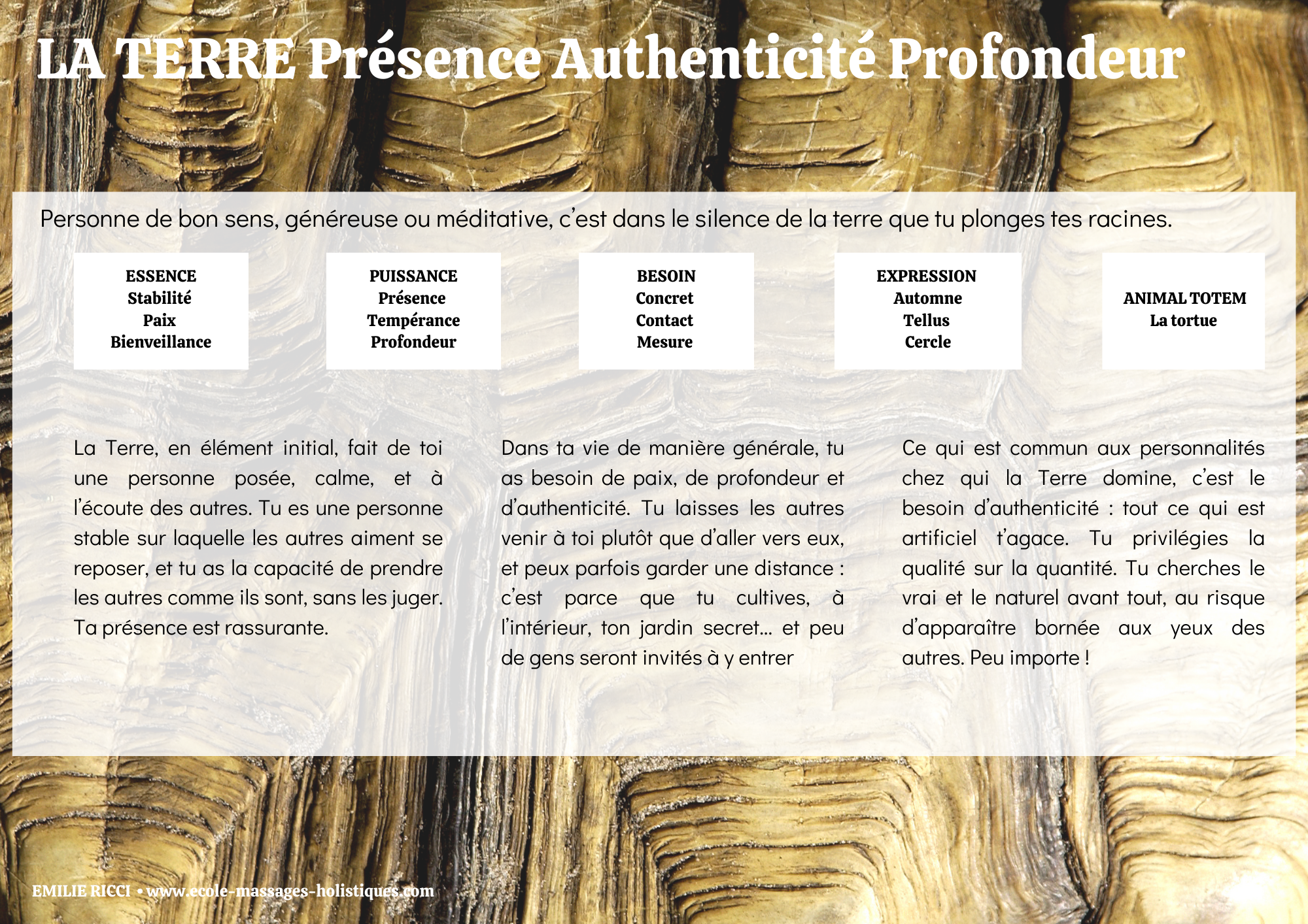 exemple-book-terre-5
