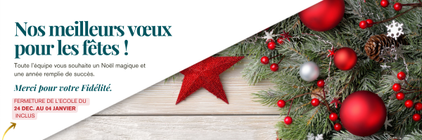 ecole massage holistique formation facialiste holistique soin énergétique Montpellier Avignon